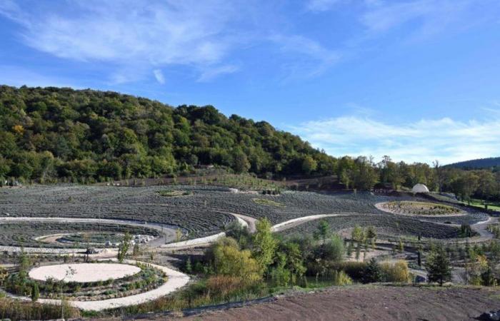 “La noche estrellada” de Van Gogh reproducida en versión gigante en un jardín (fotos)