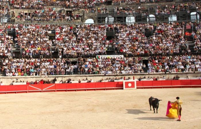 Gard. ¿Prohibidas las corridas de toros para menores de 16 años? Un proyecto de ley presentado a tal efecto.