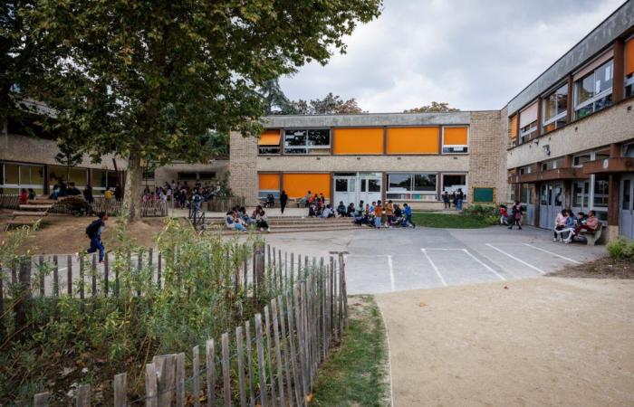 Un patio oasis en el grupo escolar La Justicia.