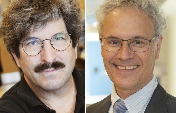 Los estadounidenses Victor Ambros y Gary Ruvkun ganan el Nobel de Medicina por el descubrimiento de los microARN