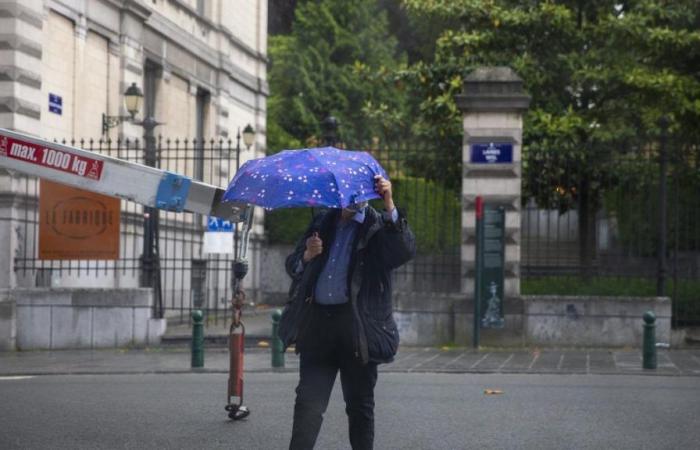 aquí está el pronóstico del tiempo para la semana