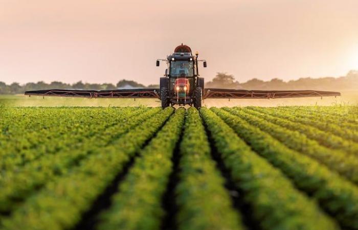 Inspecciones de campo en caída libre