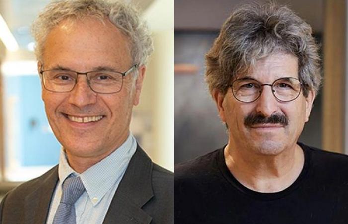 El Premio Nobel de Medicina lo ganaron los estadounidenses Victor Ambros y Gary Ruvkun