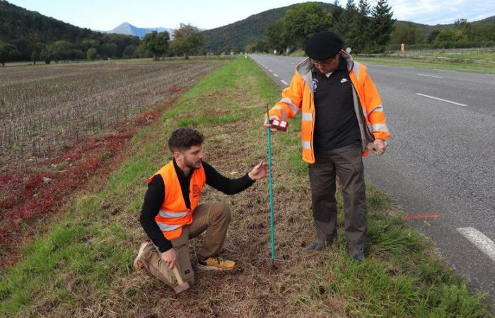 ¿Para qué sirven los postes reflectores instalados en dos carreteras departamentales del Alto Garona?