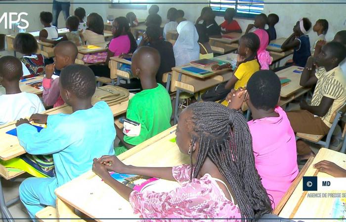 regreso efectivo a la escuela en varios establecimientos, según el prefecto – agencia de prensa senegalesa