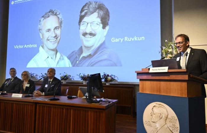 Dos estadounidenses reciben el Nobel de Medicina por el descubrimiento del microARN