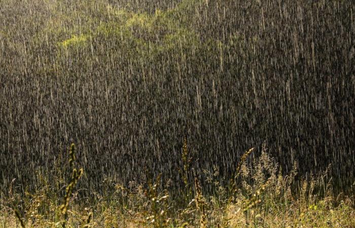 Se espera un episodio de Cevennes el lunes por la noche en Lozère, Ardèche y Gard.