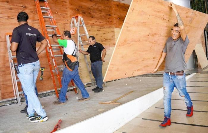 El huracán “Milton” golpeará con fuerza: los pájaros de la nieve “deberían esperar” antes de dirigirse a Florida