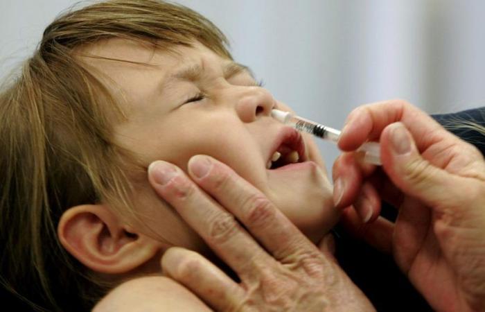 Retirada del mercado, la vacuna nasal contra la gripe se volvió viral en Suiza – rts.ch