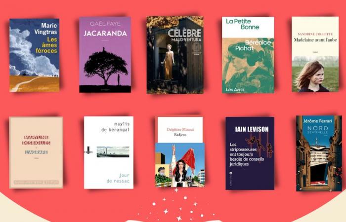 las 10 novelas favoritas de los libreros independientes según Les Défricheurs