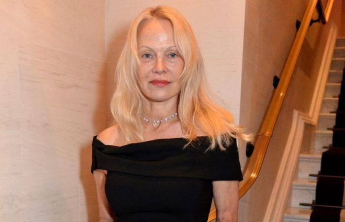 “Es un gran borrón”: este período de su vida que Pamela Anderson no recuerda