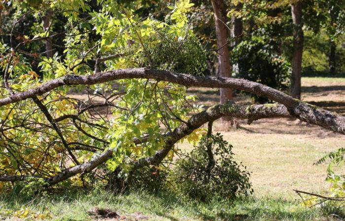 Sarthe en alerta amarilla