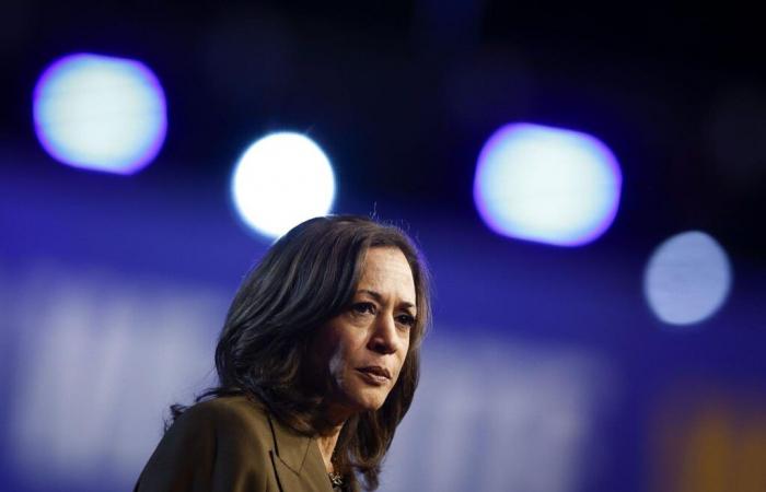 Harris dice que no se reuniría con Putin sin la representación de Ucrania