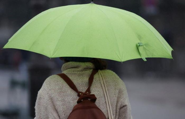 Storm Kirk, profesora abofeteada en Tourcoing, acoso escolar por parte del CP: información para recordar esta hora del almuerzo