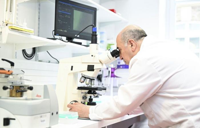 Cómo contribuye el Institut Pasteur a la lucha contra las infecciones meningocócicas