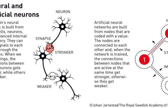 El Premio Nobel de Física 2024 premia las redes neuronales artificiales