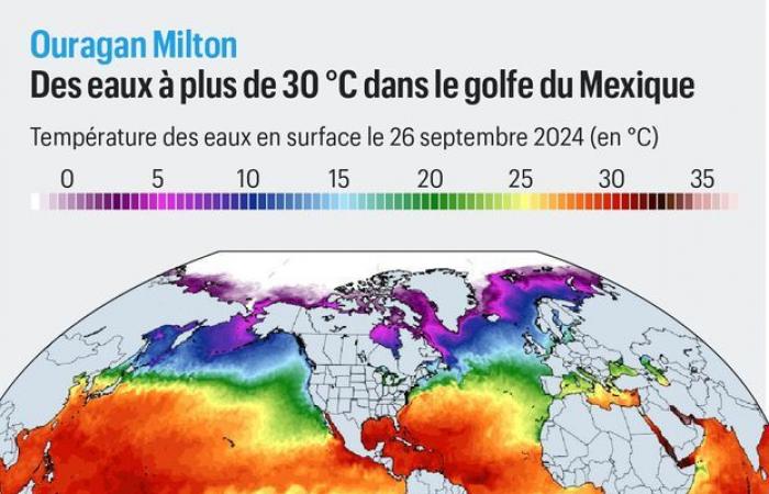 Categoría máxima, aguas cálidas… ¿Por qué el huracán Milton podría ser “la peor tormenta en Florida en un siglo”?