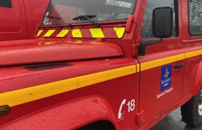 Depression Kirk: los bomberos de Loiret en acción en una treintena de municipios de todo el departamento