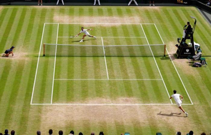 Tenis: tras 147 años de existencia, los jueces de línea en Wimbledon desaparecerán