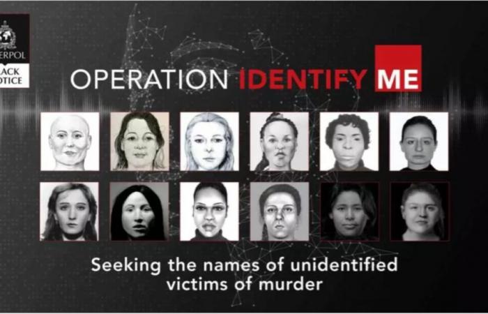 Interpol comparte nueva información para intentar identificar a 46 mujeres encontradas muertas en Europa