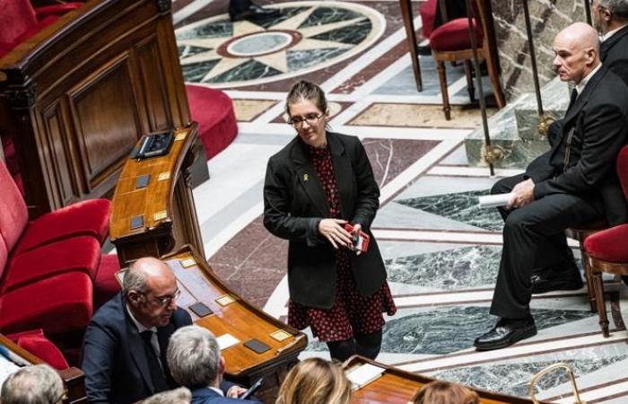 Por qué la oficina de la Asamblea lleva el caso de Aurore Bergé a los tribunales