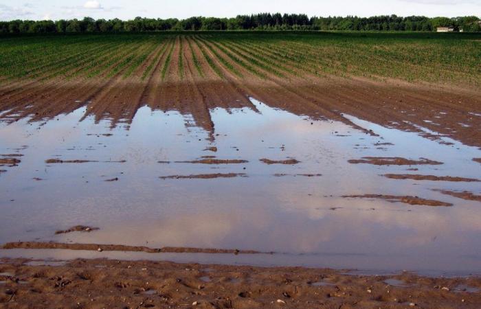 Calvados bajo vigilancia especial este jueves