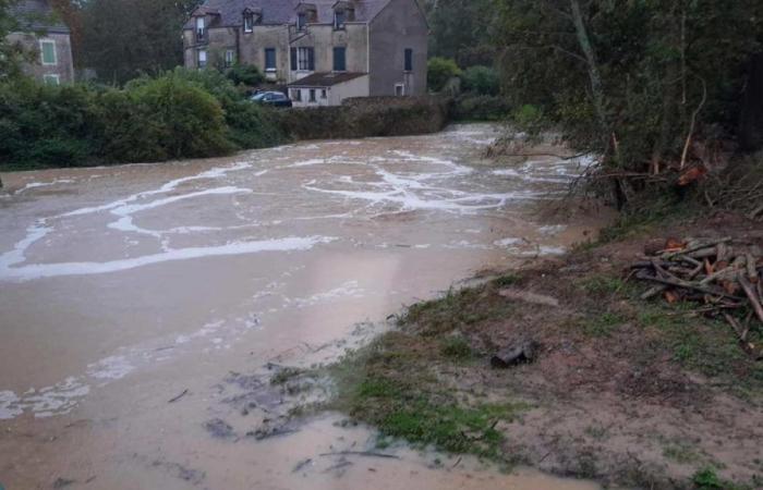 Sena y Marne tiene los pies en el agua