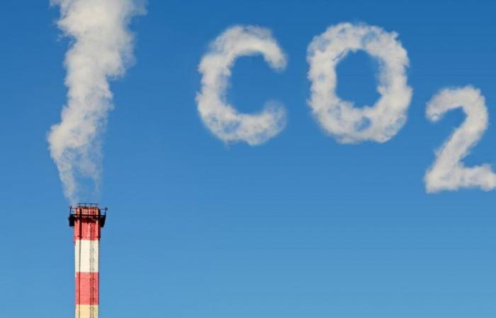 La fijación del precio del carbono, una amenaza para las economías africanas