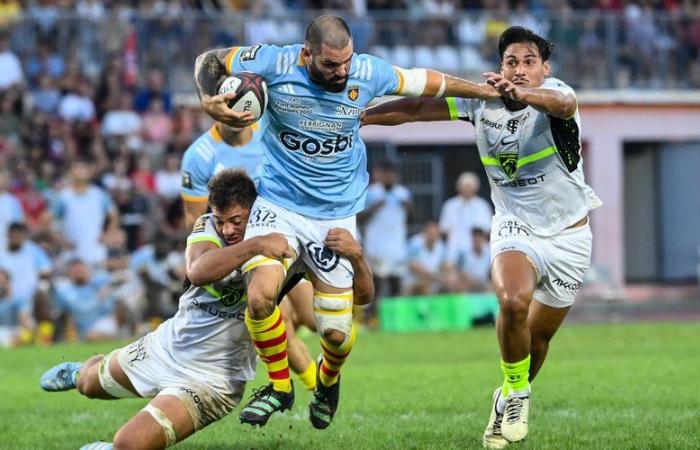 Top 14 – ¿Por qué Perpignan ya no es el mismo equipo?