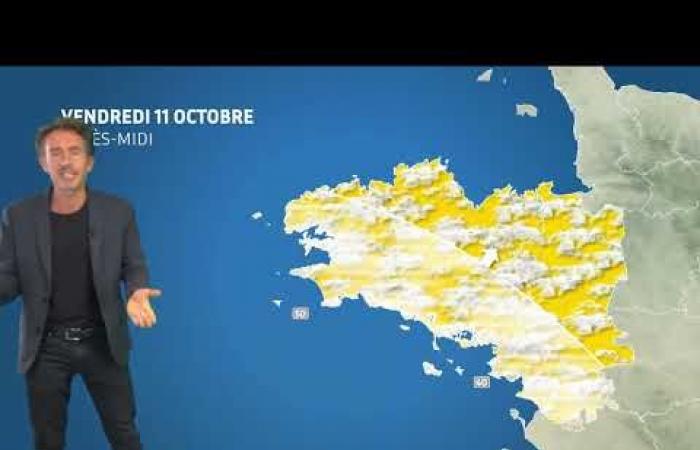 El tiempo para tu viernes 11 de octubre de 2024 – Noticias del tiempo