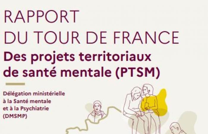 Informe del tour de Francia de proyectos territoriales de salud mental – PTSM