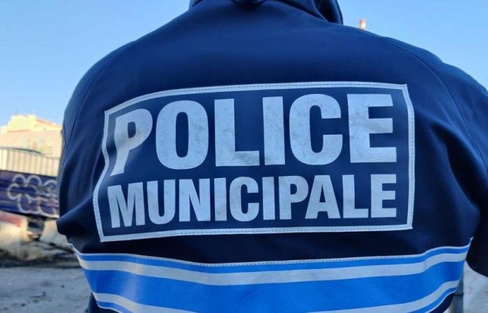 un policía municipal gravemente herido en Échirolles, golpeado tras negarse a cumplir