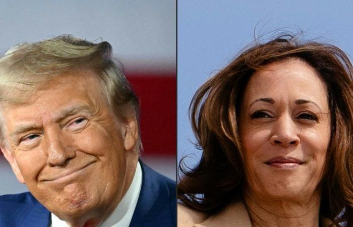 Huracán Milton: fragmentos de sonido, desinformación… Donald Trump y Kamala Harris se enfrentan por la gestión de los desastres naturales