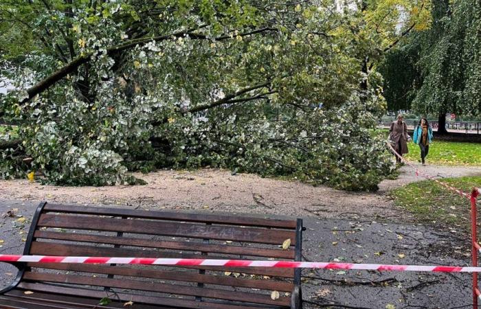 700 viviendas siguen sin electricidad en Saboya y Alta Saboya, el tráfico TER sigue interrumpido