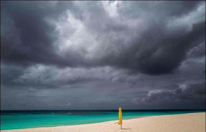 Solo en la playa, ojos en el agua…