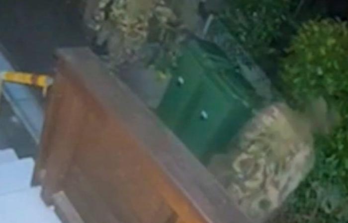 El ejército merodea en su jardín en mitad de la noche.