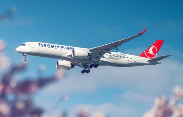 Avión realiza un aterrizaje de emergencia tras la muerte del piloto en un vuelo de Turkish Airlines