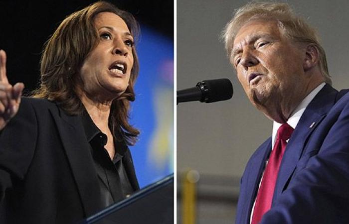 Elecciones presidenciales en EE.UU.: Kamala Harris lidera las encuestas, pero la votación es incierta – LINFO.re