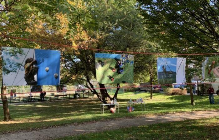 vandalizada una exposición al aire libre