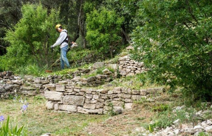 Marsella comprometida con el Día Nacional de la Resiliencia este domingo