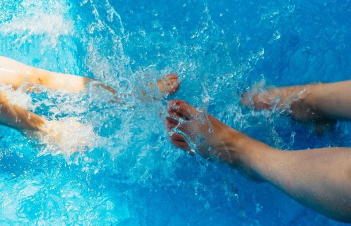 “Hay que filtrar toda la piscina”, descubrimiento repugnante en una piscina