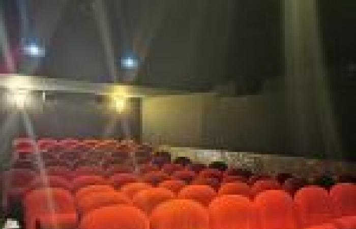 Proyecciones de cine con degustaciones vinculadas a las películas proyectadas en el cine Épée de Bois