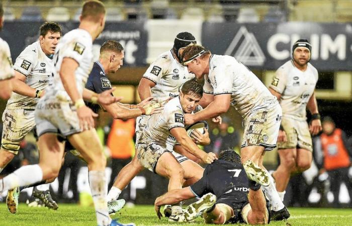 El RC Vannes mantiene la fe tras otra decepción en Montpellier