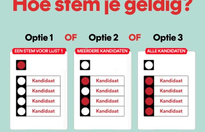 Asegúrese de votar el domingo. Pero, ¿cómo se hace eso correctamente?