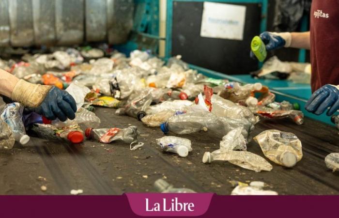 “La gente no se da cuenta de los riesgos que suponen para nuestro personal”