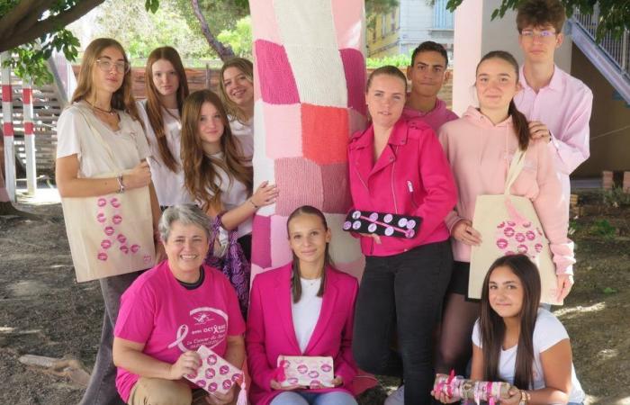 Los seguidores rosas de Viala-Lacoste en Salon-de-Provence quieren batir el récord de donaciones del año pasado