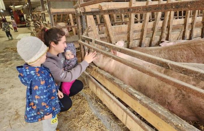 Una joven granjera con el corazón en la manga