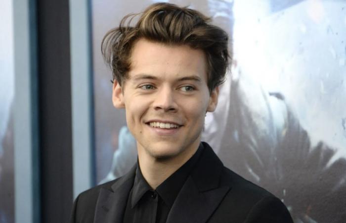 Descubre las lujosas residencias de Harry Styles en todo el mundo – Actual Immo