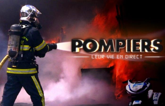 Bomberos: viven su vida – Ángeles de la guarda – Bomberos: viven su vida