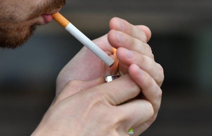 Tres días de proyección en Auch para la 9ª edición del Mes Sin Tabaco